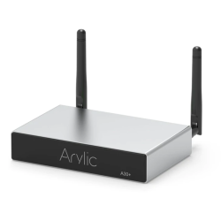 Arylic A30+  Arylic A30+